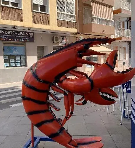 Eb By Zanis Torrevieja